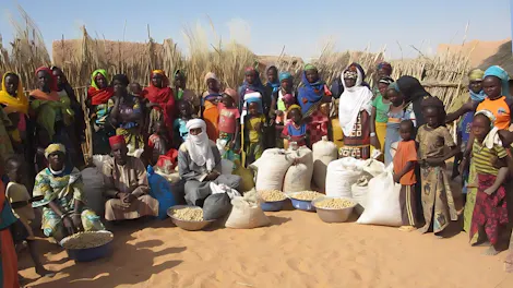 Aduwa suppliers in Niger. Image Credit: Sahara Sahel Foods.